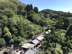 马坡山影院,光影交织的梦幻空间