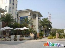 海沧梦露电影院,光影交织的梦幻观影之旅